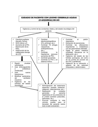 Teoría enfermería neurológica
