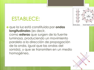 ESTABLECE: 
 que la luz está constituida por ondas 
longitudinales (es decir, 
como esferas que surgen de la fuente 
luminosa, produciendo un movimiento 
paralelo a la dirección de propagación 
de la onda, igual que las ondas del 
sonido), y que se transmiten en un medio 
homogéneo. 
 