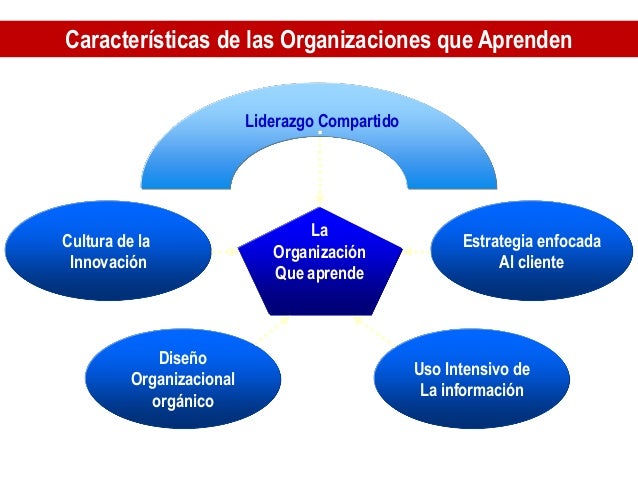Características De Las Organizaciones Que Aprenden