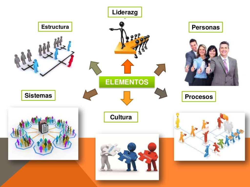Mapa Mental Organización