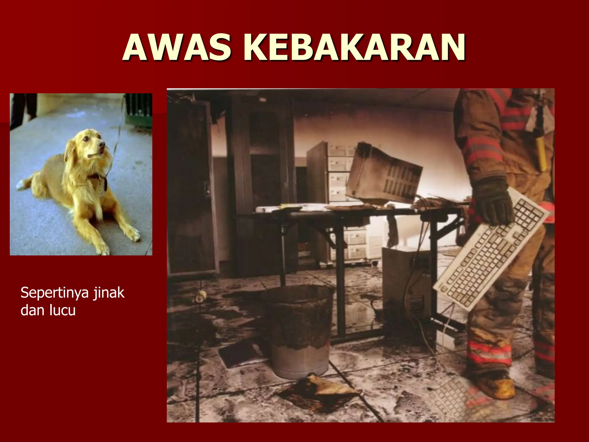 AWAS KEBAKARAN
Sepertinya jinak
dan lucu
 