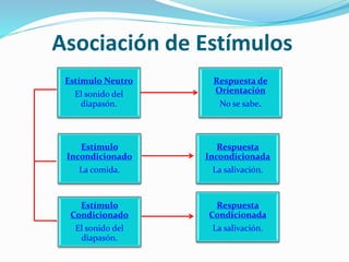 Asociación de Estímulos
Estímulo Neutro
El sonido del
diapasón.
Respuesta de
Orientación
No se sabe.
Estímulo
Incondicionado
La comida.
Estímulo
Condicionado
El sonido del
diapasón.
Respuesta
Incondicionada
La salivación.
Respuesta
Condicionada
La salivación.
 