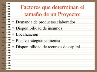 Factores que determinan el
       tamaño de un Proyecto:
•   Demanda de productos elaborados
•   Disponibilidad de insumos
•   Localización
•   Plan estratégico comercial
•   Disponibilidad de recursos de capital
 