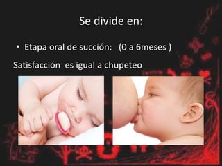 Se divide en:
• Etapa oral de succión: (0 a 6meses )
Satisfacción es igual a chupeteo
 