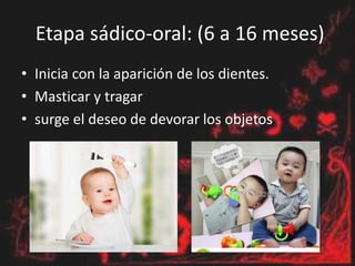 Etapa sádico-oral: (6 a 16 meses)
• Inicia con la aparición de los dientes.
• Masticar y tragar
• surge el deseo de devorar los objetos
 