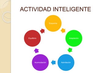 ACTIVIDAD INTELIGENTE
Esquema
Adaptación
AsimilaciónAcomodación
Equilibrio
 