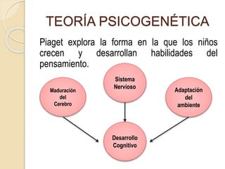 TEORÍA PSICOGENÉTICA
Piaget explora la forma en la que los niños
crecen y desarrollan habilidades del
pensamiento.
Desarrollo
Cognitivo
Maduración
del
Cerebro
Sistema
Nervioso
Adaptación
del
ambiente
 