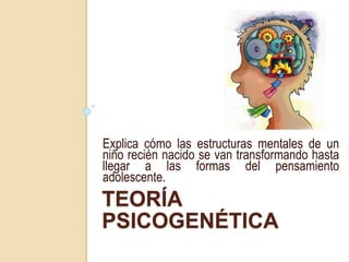 TEORÍA
PSICOGENÉTICA
Explica cómo las estructuras mentales de un
niño recién nacido se van transformando hasta
llegar a las formas del pensamiento
adolescente.
 