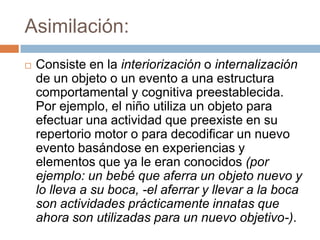 Asimilación:
   Consiste en la interiorización o internalización
    de un objeto o un evento a una estructura
    comportamental y cognitiva preestablecida.
    Por ejemplo, el niño utiliza un objeto para
    efectuar una actividad que preexiste en su
    repertorio motor o para decodificar un nuevo
    evento basándose en experiencias y
    elementos que ya le eran conocidos (por
    ejemplo: un bebé que aferra un objeto nuevo y
    lo lleva a su boca, -el aferrar y llevar a la boca
    son actividades prácticamente innatas que
    ahora son utilizadas para un nuevo objetivo-).
 