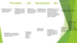 Principios del Aprendizaje del cerebro
Principio uno: El cerebro es
un sistema de adaptación
complejo. El cerebro es un
procesador paralelo
Principio dos. El cerebro es
un cerebro social. Durante
los primeros años de nuestra
vida nuestros cerebros están
en el estado más plástico e
impresionable.
Principio tres. La
búsqueda del significado
es natural. Se refiere a la
búsqueda del sentido de
nuestras existencias
Principio cuatro. La
búsqueda del significado
se produce a través de
los patrones mentales.
Principio cinco. Las emociones
son cruciales para generar
patrones mentales, para moldear
nuestro cerebro. Cuánto
aprendimos es influenciado y
organizado por las emociones. Las
emociones y los pensamientos se
forman conjuntamente y no
pueden ser separados.
Principio seis. Cada cerebro percibe y
crea simultáneamente piezas y todos.
Principio siete. El cerebro absorbe la
información en la que está focalizado, pero
también la que está más allá del foco
inmediato de atención.
Principio ocho.
El aprendizaje
implica siempre
procesos
conscientes y
procesos
inconscientes
Principio nueve.
Hay al menos dos
tipos de memoria
Principio diez. El
aprendizaje es un desarrollo.
El cerebro es "plástico": lo
que significa que muchas de
sus conexiones se forman por
la experiencia, en la
enseñanza.
Principio once. El
aprendizaje se
realiza por el
desafío y es inhibido
por la amenaza.
Principio doce. Cada
cerebro se organiza de
forma única. Todos
tenemos la misma
multiplicidad de
sistemas, pero todos
somos diferentes. Las
diferencias se expresan
en términos de estilos de
aprendizaje, de talentos
etc..
 
