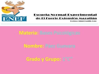Materia: Bases Psicológicas
Nombre: Páez Guevara
Grado y Grupo: 1”C”
 