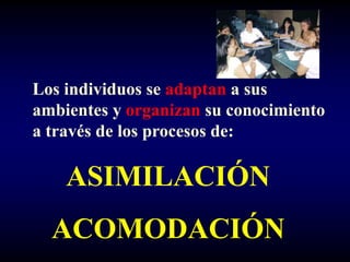 Los individuos se adaptan a sus
ambientes y organizan su conocimiento
a través de los procesos de:

    ASIMILACIÓN
  ACOMODACIÓN
 