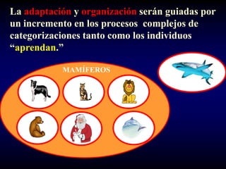 La adaptación y organización serán guiadas por
un incremento en los procesos complejos de
categorizaciones tanto como los individuos
“aprendan.”

           MAMÍFEROS
 