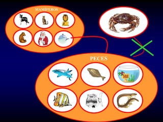 MAMÍFEROS




            PECES
 
