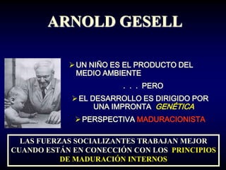 ARNOLD GESELL

             UN NIÑO ES EL PRODUCTO DEL
              MEDIO AMBIENTE
                        . . . PERO
              EL DESARROLLO ES DIRIGIDO POR
                   UNA IMPRONTA GENÉTICA
              PERSPECTIVA MADURACIONISTA

  LAS FUERZAS SOCIALIZANTES TRABAJAN MEJOR
CUANDO ESTÁN EN CONECCIÓN CON LOS PRINCIPIOS
           DE MADURACIÓN INTERNOS
 