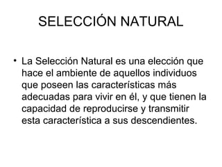 SELECCIÓN NATURAL

• La Selección Natural es una elección que
  hace el ambiente de aquellos individuos
  que poseen las características más
  adecuadas para vivir en él, y que tienen la
  capacidad de reproducirse y transmitir
  esta característica a sus descendientes.
 
