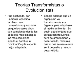 Teorías Transformistas o
             Evolucionistas
• Fue postulada, por         • Señala además que un
  Lamarck, conocida            organismo va
  también como                 transformando sus
  Lamarckismo y consiste       órganos para adaptarse
  en que los seres vivos       al medio ambiente. Es
  van cambiando desde las      decir, aquel órgano que
  especies más simples a       se usa con frecuencia
  las más complejas,           será de gran tamaño y
  siendo el hombre la          desarrollado, mientras
  culminación y la especie     que el que se usa menos
  mejor adaptada.              será pequeño y menos
                               desarrollado.
 