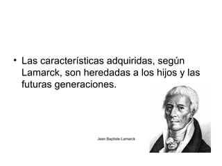• Las características adquiridas, según
  Lamarck, son heredadas a los hijos y las
  futuras generaciones.




                  Jean Baptiste Lamarck
 