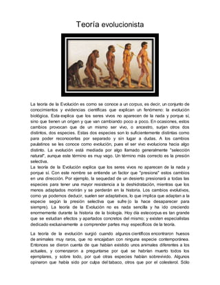 Teoría evolucionista
La teoría de la Evolución es como se conoce a un corpus, es decir, un conjunto de
conocimientos y evidencias científicas que explican un fenómeno: la evolución
biológica. Esta explica que los seres vivos no aparecen de la nada y porque sí,
sino que tienen un origen y que van cambiando poco a poco. En ocasiones, estos
cambios provocan que de un mismo ser vivo, o ancestro, surjan otros dos
distintos, dos especies. Estas dos especies son lo suficientemente distintas como
para poder reconocerlas por separado y sin lugar a dudas. A los cambios
paulatinos se les conoce como evolución, pues el ser vivo evoluciona hacia algo
distinto. La evolución está mediada por algo llamado generalmente "selección
natural", aunque este término es muy vago. Un término más correcto es la presión
selectiva.
La teoría de la Evolución explica que los seres vivos no aparecen de la nada y
porque sí. Con este nombre se entiende un factor que "presiona" estos cambios
en una dirección. Por ejemplo, la sequedad de un desierto presionará a todas las
especies para tener una mayor resistencia a la deshidratación, mientras que los
menos adaptados morirán y se perderán en la historia. Los cambios evolutivos,
como ya podemos deducir, suelen ser adaptativos, lo que implica que adaptan a la
especie según la presión selectiva que sufre (o la hace desaparecer para
siempre). La teoría de la Evolución no es nada sencilla y ha ido creciendo
enormemente durante la historia de la biología. Hoy día estecorpus es tan grande
que se estudian efectos y apartados concretos del mismo; y existen especialistas
dedicado exclusivamente a comprender partes muy específicos de la teoría.
La teoría de la evolución surgió cuando algunos científicos encontraron huesos
de animales muy raros, que no encajaban con ninguna especie contemporánea.
Entonces se dieron cuenta de que habían existido unos animales diferentes a los
actuales, y comenzaron a preguntarse por qué se habrían muerto todos los
ejemplares, y sobre todo, por qué otras especies habían sobrevivido. Algunos
opinaron que había sido por culpa del tabaco, otros que por el colesterol. Sólo
 