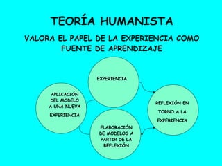 TEORÍA HUMANISTA VALORA EL PAPEL DE LA EXPERIENCIA COMO FUENTE DE APRENDIZAJE EXPERIENCIA REFLEXIÓN EN TORNO A LA EXPERIENCIA ELABORACIÓN DE MODELOS A PARTIR DE LA REFLEXIÓN APLICACIÓN DEL MODELO A UNA NUEVA EXPERIENCIA 