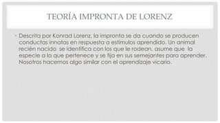 TEORÍA IMPRONTA DE LORENZ
• Descrita por Konrad Lorenz, la impronta se da cuando se producen
conductas innatas en respuesta a estímulos aprendido. Un animal
recién nacido se identifica con los que le rodean, asume que la
especie a la que pertenece y se fija en sus semejantes para aprender.
Nosotros hacemos algo similar con el aprendizaje vicario.
 