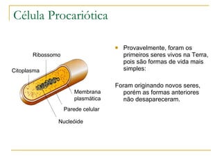 Célula Procariótica Provavelmente, foram os primeiros seres vivos na Terra, pois são formas de vida mais simples: Foram originando novos seres, porém as formas anteriores não desapareceram.  Nucleóide Parede celular Membrana plasmática Ribossomo Citoplasma 