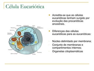 Célula Eucariótica Acredita-se que as células eucarióticas tenham surgido por evolução das procarióticas ancestrais. Diferenças das células eucarióticas para as eucarióticas: Núcleo delimitado por membrana; Conjunto de membranas e compartimentos internos; Organelas citoplasmáticas 