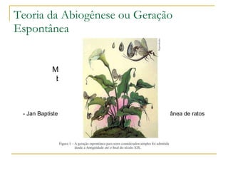 Teoria da Abiogênese ou Geração Espontânea - Jan Baptiste van Helmont  -> “receita” de geração espontânea de ratos Matéria bruta Seres vivos 