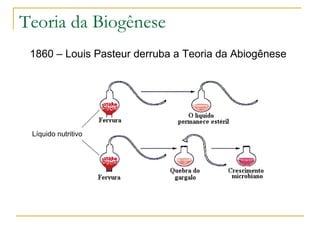 Teoria da Biogênese 1860 – Louis Pasteur derruba a Teoria da Abiogênese Líquido nutritivo 