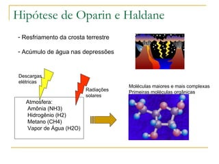 Hipótese de Oparin e Haldane Resfriamento da crosta terrestre Acúmulo de água nas depressões Atmosfera: Amônia (NH3) Hidrogênio (H2) Metano (CH4) Vapor de Água (H2O) Descargas elétricas Radiações solares Moléculas maiores e mais complexas Primeiras moléculas orgânicas 