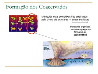 Formação dos Coacervados Moléculas mais complexas são arrastadas pela chuva até os mares  -> sopas nutritivas Moléculas orgânicas que ao se agregarem formaram os  coacervados 