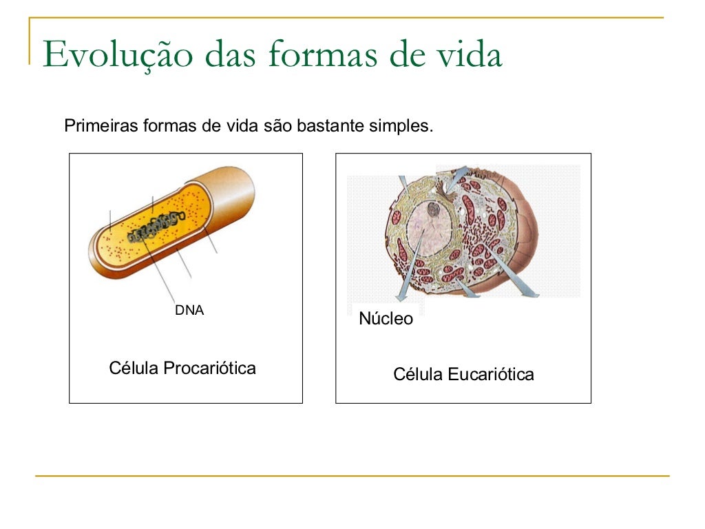 Dentre As Teorias Desenvolvidas Para Explicar A Origem