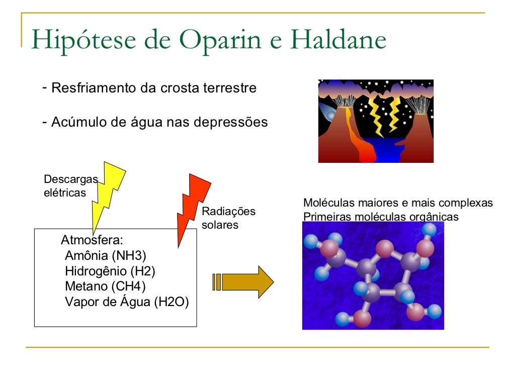 Dentre As Teorias Desenvolvidas Para Explicar A Origem
