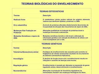 TEORIAS BIOLÓGICAS DO ENVELHECIMENTO

                                 TEORIAS ESTOCÁSTICAS

Teorias                            Descrição

Radicais livres                    O metabolismo celular produz radicais de oxigênio altamente
                                   reativos que danificam lipídeos, proteínas e o DNA.

Erro catastrófico                  Acúmulo de proteínas alteradas aleatoriamente decorrentes da
                                   incapacidade de ativação dos mecanismos de reparo do DNA.

Mudanças Pós-Tradução em           Alterações qualitativas na tradução de proteínas levam a
Proteínas                          mudanças funcionais e estruturais.

Mutações Somáticas e reparo do     Mutações somáticas durante a vida levam a alteração da
DNA                                informação genética com redução da eficiência da célula a um
                                   nível incompatível com a vida.

                                  TEORIAS GENÉTICAS

Teorias                            Descrição

Telomérica/Senescência celular     Fenótipos de envelhecimento são causados pelo aumento na
                                   freq6uência de células senescentes resultado do encurtamento
                                   do telômero (senescência replicativa).

Imunológica                        O declínio de função imune com o envelhecimento resulta em
                                   infecções e aumento de doenças auto-imunes.


Regulação gênica                   Envelhecimento é causado por alteração na expressão de genes
                                   regulando ambos, desenvolvimento e envelhecimento.

Neuroendócrina                     Alterações na produção de hormônios reguladores da
                                   homeostasia resultam nas mudanças fisiológicas do idoso.
 