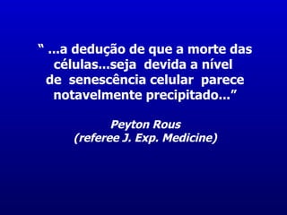 “ ...a dedução de que a morte das
   células...seja devida a nível
 de senescência celular parece
   notavelmente precipitado...”

            Peyton Rous
     (referee J. Exp. Medicine)
 
