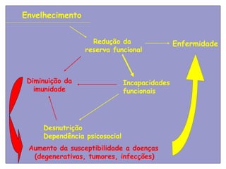 Envelhecimento


                   Redução da                  Enfermidade
                 reserva funcional



 Diminuição da                 Incapacidades
   imunidade                   funcionais




     Desnutrição
     Dependência psicosocial
 Aumento da susceptibilidade a doenças
  (degenerativas, tumores, infecções)
 