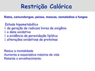 Restrição Calórica
Ratos, camundongos, peixes, moscas, nematódios e fungos

Estado hipometabólico
↓ da geração de radicais livres de oxigênio
↓ o dano oxidativo
↓ a evidência de peroxidação lipídica
↓ alterações oxidativas de proteínas


Reduz a mortalidade
Aumenta a expectativa máxima de vida
Retarda o envelhecimento
 