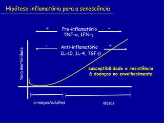 Hipótese inflamatória para a senescência


                             +       Pro-inflamatório      -
                                      TNF-α, IFN-γ

                             -      Anti-inflamatório       +
    taxa mortalidade




                                    IL-10, IL-4, TGF-β


                                                 susceptibilidade e resistência
                                                 à doenças no envelhecimento




                       crianças/adultos                  idosos
 