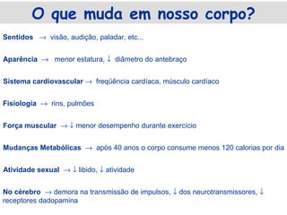 O que muda em nosso corpo?
Sentidos → visão, audição, paladar, etc...


Aparência → menor estatura, ↓ diâmetro do antebraço


Sistema cardiovascular → freqüência cardíaca, músculo cardíaco


Fisiologia → rins, pulmões


Força muscular → ↓ menor desempenho durante exercício


Mudanças Metabólicas → após 40 anos o corpo consume menos 120 calorias por dia


Atividade sexual → ↓ libido, ↓ atividade


No cérebro → demora na transmissão de impulsos, ↓ dos neurotransmissores, ↓
receptores dadopamina
 