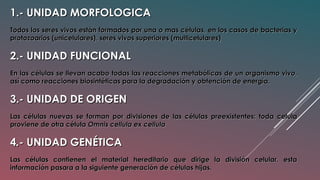 1.- UNIDAD MORFOLOGICA1.- UNIDAD MORFOLOGICA
Todos los seres vivos están formados por una o mas células, en los casos de bacterias yTodos los seres vivos están formados por una o mas células, en los casos de bacterias y
protozoarios (unicelulares), seres vivos superiores (multicelulares)protozoarios (unicelulares), seres vivos superiores (multicelulares)
2.- UNIDAD FUNCIONAL2.- UNIDAD FUNCIONAL
En las células se llevan acabo todas las reacciones metabólicas de un organismo vivo,En las células se llevan acabo todas las reacciones metabólicas de un organismo vivo,
así como reacciones biosintéticas para la degradación y obtención de energía.así como reacciones biosintéticas para la degradación y obtención de energía.
3.- UNIDAD DE ORIGEN3.- UNIDAD DE ORIGEN
Las células nuevas se forman por divisiones de las células preexistentes; toda celulaLas células nuevas se forman por divisiones de las células preexistentes; toda celula
proviene de otra célulaproviene de otra célula Omnis cellula ex cellulaOmnis cellula ex cellula
44.-.- UNIDAD GENÉTICAUNIDAD GENÉTICA
Las células contienen el material hereditario que dirige la división celular, estaLas células contienen el material hereditario que dirige la división celular, esta
información pasara a la siguiente generación de células hijas.información pasara a la siguiente generación de células hijas.
 