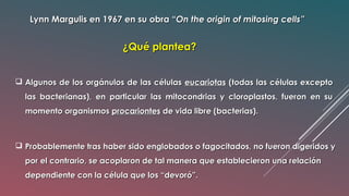 Lynn Margulis en 1967 en su obra “Lynn Margulis en 1967 en su obra “On the origin of mitosing cells”On the origin of mitosing cells”
¿Qué plantea?¿Qué plantea?
 Algunos de los orgánulos de las célulasAlgunos de los orgánulos de las células eucariotaseucariotas (todas las células excepto(todas las células excepto
las bacterianas), en particular las mitocondrias y cloroplastos, fueron en sulas bacterianas), en particular las mitocondrias y cloroplastos, fueron en su
momento organismosmomento organismos procariontesprocariontes de vida libre (bacterias).de vida libre (bacterias).
 Probablemente tras haber sido englobados o fagocitados, no fueron digeridos yProbablemente tras haber sido englobados o fagocitados, no fueron digeridos y
por el contrario, se acoplaron de tal manera que establecieron una relaciónpor el contrario, se acoplaron de tal manera que establecieron una relación
dependiente con la célula que los “devoró”.dependiente con la célula que los “devoró”.
 