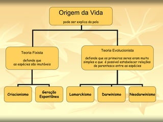 Origem da Vida
pode ser explica da pela
Teoria Fixista
defende que
as espécies são imutáveis
Teoria Evolucionista
defende que os primeiros seres eram muito
simples e que é possivel estabelecer relações
de parentesco entre as espécies
Criacionismo
Geração
Espontânea
Lamarckismo Darwinismo Neodarwinismo
 