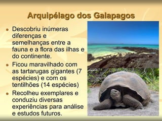 Arquipélago dos Galapagos
Descobriu inúmeras
diferenças e
semelhanças entre a
fauna e a flora das ilhas e
do continente.
Ficou maravilhado com
as tartarugas gigantes (7
espécies) e com os
tentilhões (14 espécies)
Recolheu exemplares e
conduziu diversas
experiências para análise
e estudos futuros.
 