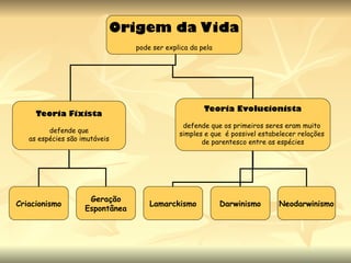 Origem da Vida
pode ser explica da pela
Teoria Fixista
defende que
as espécies são imutáveis
Teoria Evolucionista
defende que os primeiros seres eram muito
simples e que é possivel estabelecer relações
de parentesco entre as espécies
Criacionismo
Geração
Espontânea
Lamarckismo Darwinismo Neodarwinismo
 