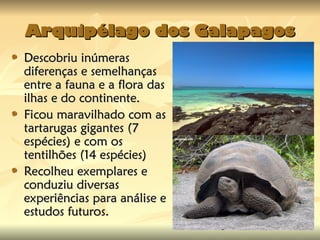 Arquipélago dos Galapagos
Arquipélago dos Galapagos
Descobriu inúmeras
Descobriu inúmeras
diferenças e semelhanças
diferenças e semelhanças
entre a fauna e a flora das
entre a fauna e a flora das
ilhas e do continente.
ilhas e do continente.
Ficou maravilhado com as
Ficou maravilhado com as
tartarugas gigantes (7
tartarugas gigantes (7
espécies) e com os
espécies) e com os
tentilhões (14 espécies)
tentilhões (14 espécies)
Recolheu exemplares e
Recolheu exemplares e
conduziu diversas
conduziu diversas
experiências para análise e
experiências para análise e
estudos futuros.
estudos futuros.
 