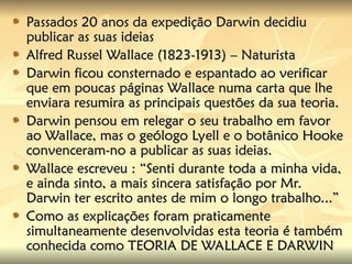 Passados 20 anos da expedição Darwin decidiu
Passados 20 anos da expedição Darwin decidiu
publicar as suas ideias
publicar as suas ideias
Alfred Russel Wallace (1823-1913) – Naturista
Alfred Russel Wallace (1823-1913) – Naturista
Darwin ficou consternado e espantado ao verificar
Darwin ficou consternado e espantado ao verificar
que em poucas páginas Wallace numa carta que lhe
que em poucas páginas Wallace numa carta que lhe
enviara resumira as principais questões da sua teoria.
enviara resumira as principais questões da sua teoria.
Darwin pensou em relegar o seu trabalho em favor
Darwin pensou em relegar o seu trabalho em favor
ao Wallace, mas o geólogo Lyell e o botânico Hooke
ao Wallace, mas o geólogo Lyell e o botânico Hooke
convenceram-no a publicar as suas ideias.
convenceram-no a publicar as suas ideias.
Wallace escreveu : “Senti durante toda a minha vida,
Wallace escreveu : “Senti durante toda a minha vida,
e ainda sinto, a mais sincera satisfação por Mr.
e ainda sinto, a mais sincera satisfação por Mr.
Darwin ter escrito antes de mim o longo trabalho...”
Darwin ter escrito antes de mim o longo trabalho...”
Como as explicações foram praticamente
Como as explicações foram praticamente
simultaneamente desenvolvidas esta teoria é também
simultaneamente desenvolvidas esta teoria é também
conhecida como TEORIA DE WALLACE E DARWIN
conhecida como TEORIA DE WALLACE E DARWIN
 