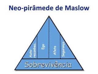 Sobrevivência
Auto-
reconhec.
Segurança
Afeto
Ego
 
