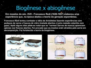 Biogênese x abiogênese Em meados do séc. XVII - Francesco Redi (1626-1697) elaborou uma experiência que, na época abalou a teoria da geração espontânea. Francesco Redi tentou combater a idéia de Aristóteles fazendo experiências com pedaços de carne e frascos de vidro (metade abertos e outra metade cobertos com gaze). Após alguns dias pôde-se notar que os "vermes"(larvas de mosca) apareciam apenas nos frascos abertos. Foi provado que os insetos eram atraídos pela carne em decomposição. Foi fortalecida a teoria da biogênese. 