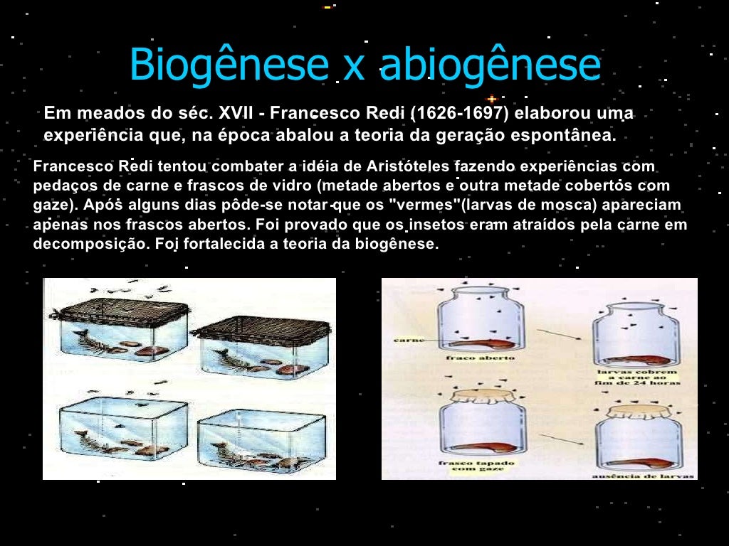 Dentre As Teorias Desenvolvidas Para Explicar A Origem
