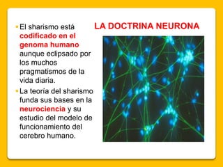 El sharismo está
codificado en el
genoma humano
aunque eclipsado por
los muchos
pragmatismos de la
vida diaria.
La teoría del sharismo
funda sus bases en la
neurociencia y su
estudio del modelo de
funcionamiento del
cerebro humano.
LA DOCTRINA NEURONA
 